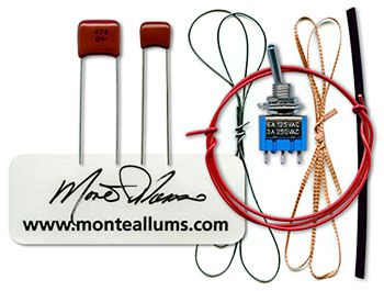 Monte Allums Mods - Pedal Mods, Pickguard Shields & eNut Tuning System